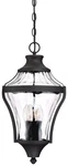 The Great Outdoors 72564-66 Libre Light 11"W Pendant Black. Fixed Price $334.00.
