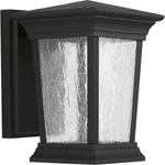 Progress Lighting Arrive Led Outdoor Clear Seeded Glass Wall Lantern. Fixed Price $110.00.