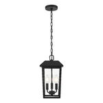 Elegant Lighting Riggs 8 X 15" Outdoor Pendant Black. Fixed Price $144.00.