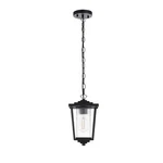 Elegant Lighting York 13" Outdoor Pendant, Black/clear - OD305H13BK. Fixed Price $106.00.