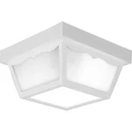 Progress Lighting P5745 2 Flush Mount Outdoor Ceiling - White. Fixed Price $40.30.