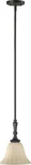 Quorum One Light Pendant In Oiled Bronze. Fixed Price $55.00.