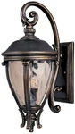 Maxim Camden Vx 29" High Golden Bronze Outdoor Wall Light. Fixed Price $542.30.