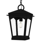 Quoizel HUK1910 Huck 10"W Outdoor Mini Pendant - Black. Fixed Price $343.99.