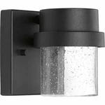 Progress Lighting P560073-031-30 Z-1060 Wall Lantern Black. Fixed Price $95.00.
