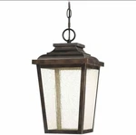 The Great Outdoors (black) Light Fixture 72174-189. Fixed Price $119.99.