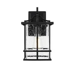 Elegant Lighting Miller Outdoor Sconce, Black/clear - OD312W12BK. Fixed Price $118.00.