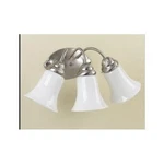 Westinghouse Wall Bracket Fixture R-20 A19 B13 17-1/4 In. Nickel Bx Light. Fixed Price $73.46.