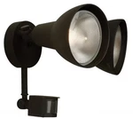 Textured Black Two Light Covered Floodith Motion Sensor From The. Fixed Price $100.80.