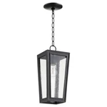 Quorum Bravo Light Pendant, Noir 716-6-69. Fixed Price $134.00.