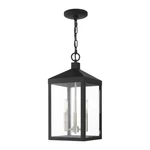 Livex Nyack 3-LT Outdoor Pendant Lantern, Black/nickel Cluster/clear 20593-04. Fixed Price $493.96.