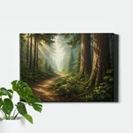 Forest Path Wall Art Misty Evergreen Clearing Landscape Scene. Fixed Price $11.17.