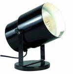 Satco 77-394 Multi-purpose Portable Spot Light Black, Medium Base,. Fixed Price $29.95.