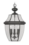 Livex Lighting 2355-04 Monterey 12.5 Inch Black Outdoor Pendant Lantern. Fixed Price $379.96.