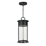 Maxim 30636CDBKP Windsor Light Outdoor Pendant-black Patina 17.5"H. Fixed Price $238.00.