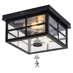 Outdoor Ceiling With Motion SENSOR,2-LIGHT Lights For P.... Fixed Price $93.98.
