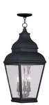 Livex Lighting 2610-04 Exeter 3 Inch Black Outdoor Pendant Lantern. Fixed Price $894.90.