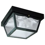 Westinghouse 6682300 Two-light Flush-mount Outdoor Fixture. Fixed Price $54.63.