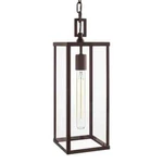 Hampton Bay Porter Hills Olde Bronze Hanging Outdoor Pendant Light Clear Glass. Fixed Price $77.38.