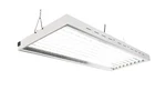 4FT X 24IN 8 Lamps 400W T5 Fluorescent Grow Lights With 6500K Sun .... Fixed Price $279.54.