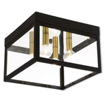 Livex Lighting 20589-07 Nyack 4 11 Inch Bronze Outdoor Ceiling Mount. Fixed Price $279.96.