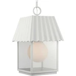 Progress Lighting P550117 Point Dume-hook Pond 16"W Outdoor Shelter White. Fixed Price $899.99.