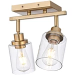 Wanluce 2-LIGHT Track Lighting Fixtures Gold Finish Multi-directional Rotating. Fixed Price $94.12.