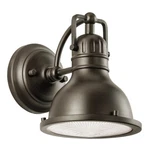 Kichler Hatteras Bay Outdoor Wall 1LT 6.5X8", Olde Brz, Fresnel Lens - 49064OZ. Fixed Price $219.99.