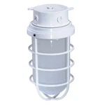 1 Light Large Vapor Proof Surface. Fixed Price $59.99.