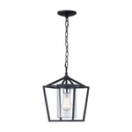 Monteaux Lighting 1-LIGHT Black Outdoor Pendant Fixture With Clear Glass. Fixed Price $49.99.