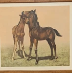 Vintage Framed Print Playtime Cw Anderson Portfolio Accent Youth 1958. Fixed Price $75.00.