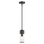 Livex Quincy Light Mini Pendant, Black Chrome/clear Glass 17140-46. Fixed Price $175.96.