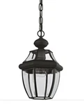 Livex Lighting 2152-07 Monterey 1-LIGHT Outdoor Hanging Lantern, Black. Fixed Price $67.20.