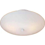 Volume Lighting 2-LIGHT White Semi-flush Mount. Fixed Price $13.99.