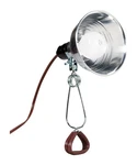 Ace Trading Kintron 1CB-003-006FBRP Projex 60W Indoor Clamp (pack Of 6). Fixed Price $39.99.