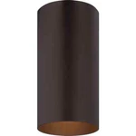 Volume Lighting 100W 1-LIGHT Bronze Outdoor Flush Mount Cylinder Ceiling Fixture. Fixed Price $29.95.