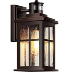 Vianis Motion Sensor Exterior Lighting Fixtures For House Oil Rubbed Bronze. Fixed Price $96.53.