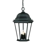 Acclaim Lighting 5226 Black/clear Richmond 3-LIGHT 19.5"H Outdoor Pendant. Fixed Price $144.00.