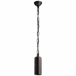 12V Twinkler Pendant Landscape Accent Kichler Lighting 15501CBR. Fixed Price $134.99.