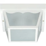 Nuvo Lighting SF77/879 Brentwood 2 10 Inch White Outdoor Flush Mount. Fixed Price $51.99.