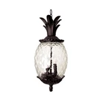Acclaim Lighting 7516BC Lanai Outdoor Pendant Chandeller Black Coral. Fixed Price $184.00.