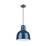 Used Millennium Lighting RDBC10-NB Series Cord Hung Deep Bowl. Fixed Price $101.92.