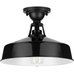 Progress Lighting P550070 Cedar Springs 13"W Semi-flush Ceiling Black. Fixed Price $144.99.