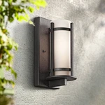 Kichler Camden 11" High Outdoor Wall Light. Fixed Price $204.99.