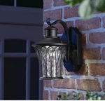 Avia Falls 12.13" Black Dusk To Dawn Small Led Outdoor Wall Light Fixture Sconce. Fixed Price $98.88.