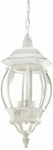Nuvo 60-894 Outdoor Hanging Lantern White Finish. Fixed Price $113.99.