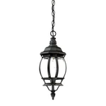 Acclaim Lighting 5056 Black Chateau 1-LIGHT 17"H Outdoor Pendant. Fixed Price $78.00.