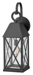 Hinkley Lighting 23305 Briar 1 26" Tall Outdoor Wall Sconce - Black. Fixed Price $159.60.