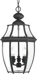 Progress Lighting New Haven 3-LIGHT Black Outdoor Lantern Beveled Glass. Fixed Price $159.92.