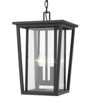 Z-lite 571CHB Black Seoul 2-LIGHT 11"W Outdoor Pendant. Fixed Price $523.60.